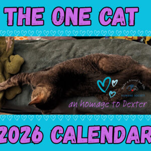 2026 One Cat Calendar