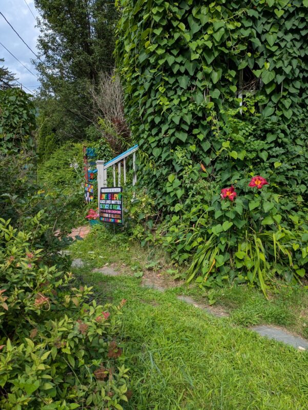 Overgrown front garden
